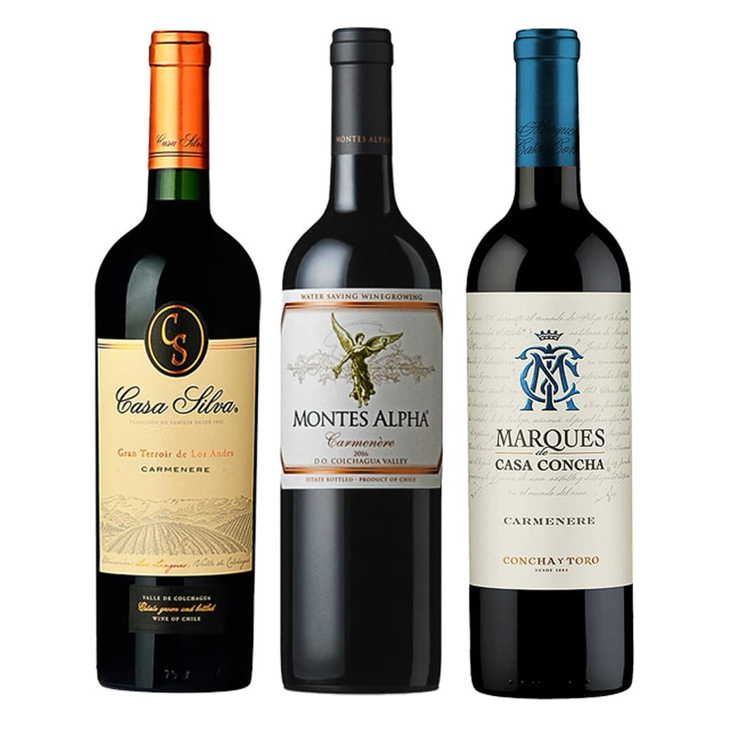 PACK LEYENDAS (Carmenere): Vino Marques de Casa Concha Carmenere 750cc + Vino Montes Alpha Carmenere 750cc + Vino Casa Silva Gran Terroir Carmenere 750cc_1