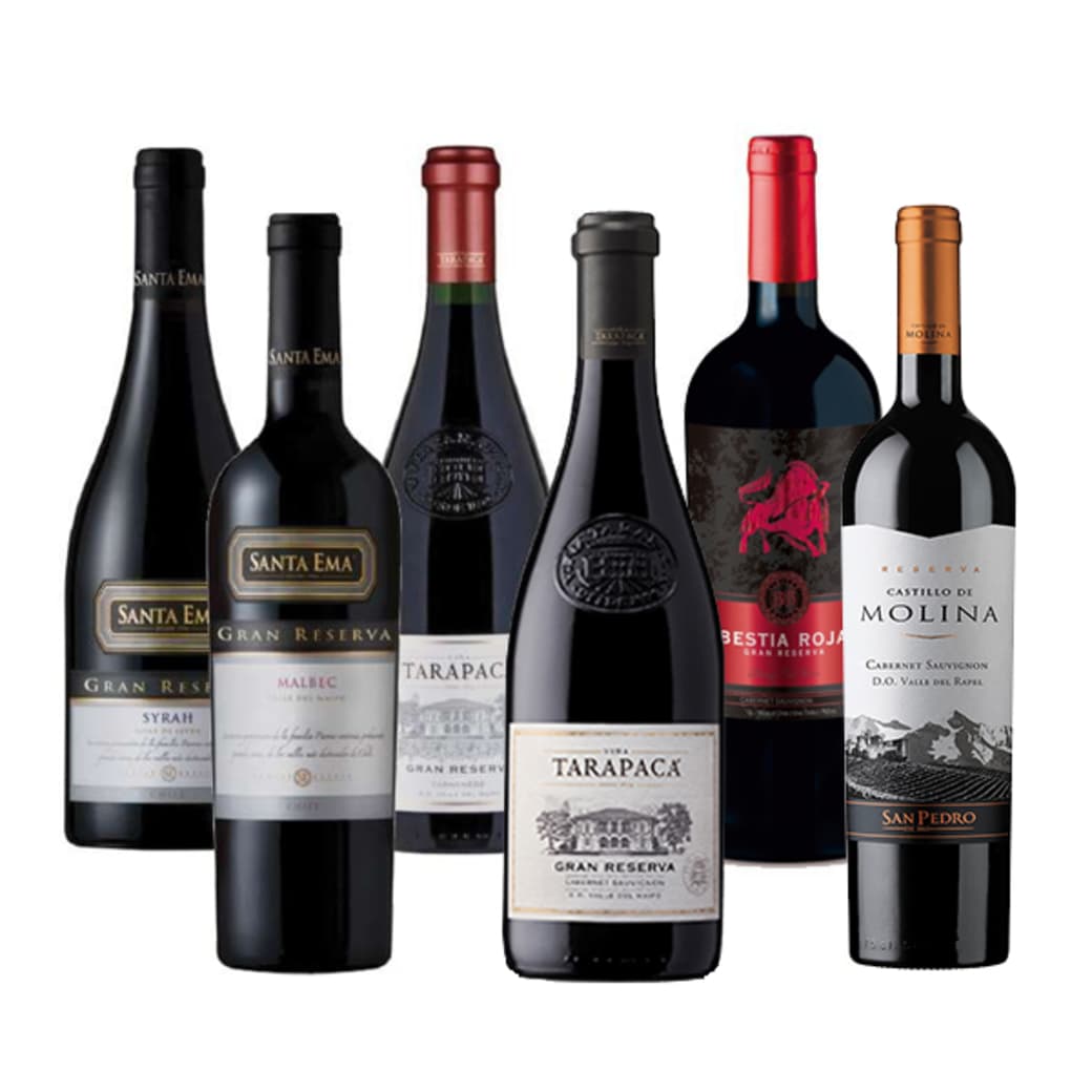 PACK GRAN RESERVA Nº3: Vino Santa Ema Gran Reserva Syrah 750cc + Vino Santa Ema Gran Reserva Malbec 750cc + Vino Tarapacá Gran Reserva Cabernet Sauvignon 750cc + Vino Tarapacá Gran Reserva Carmenere 750cc + Vino Bestia Roja Gran Reserva Cabernet Sauvignon 750cc + Vino Castillo de Molina Cabernet Sauvignon 750cc_1