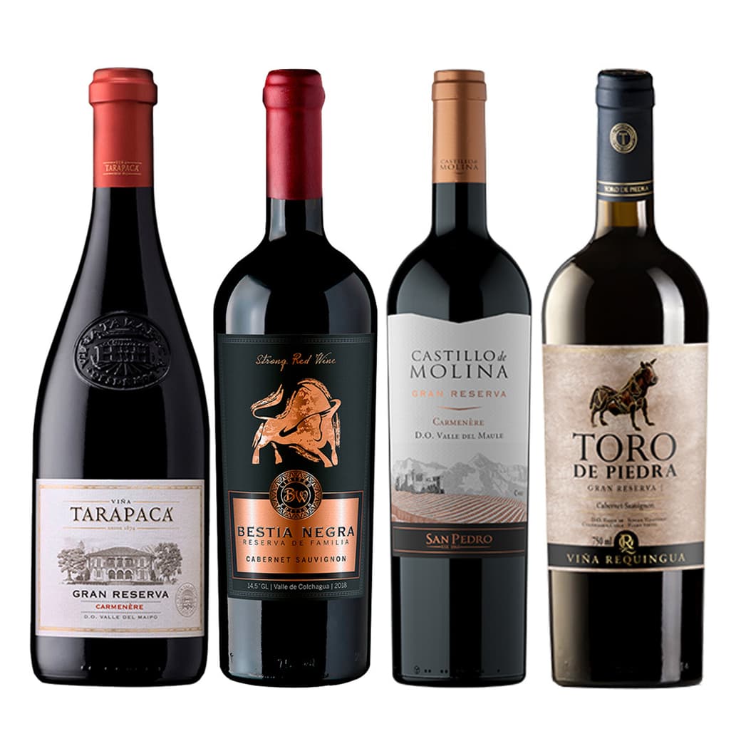 PACK VINOS GRAN RESERVA Nº5: Tarapacá Gran Reserva Carmenere 750cc + Castillo de Molina Carmenere 750cc + Toro de Piedra Cabernet Sauvignon 750cc + Bestia Negra Cabernet Sauvignon 750cc_1