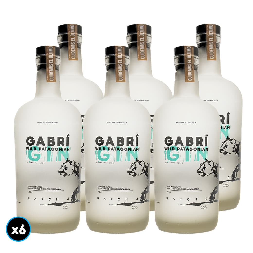 CAJA GIN GABRI: 6x Gin GABRÍ Wild Patagonian 750cc 40º alc._1