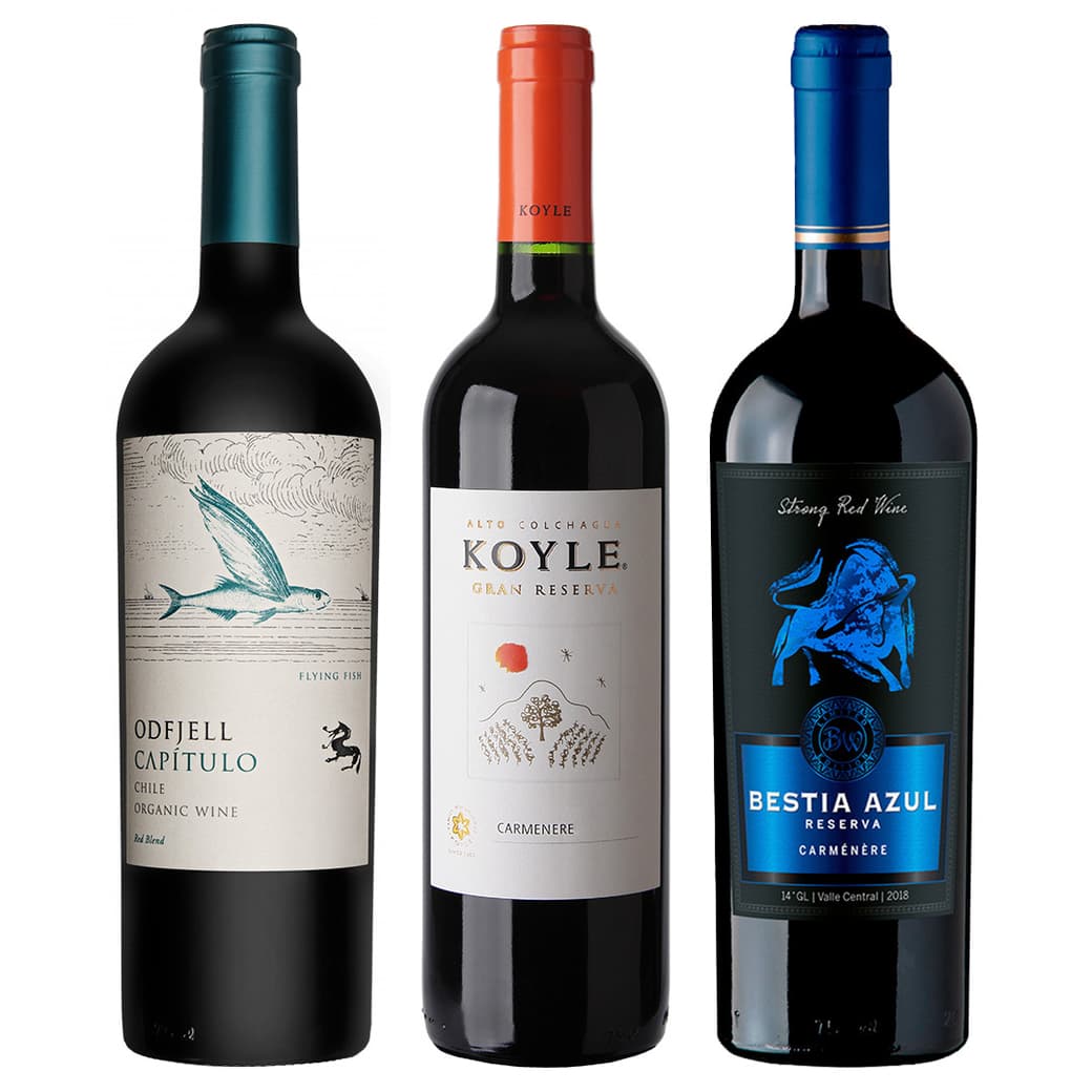 GRAN TRIO N°11: 1x Vino Odfjell Gran Reserva Capítulo Flying Fish (CA/CS/MA/SY) 750cc + 1x Vino Koyle Gran Reserva Carmenere 750cc + 1x Vino Bestia Azul Carmenere 750cc_1