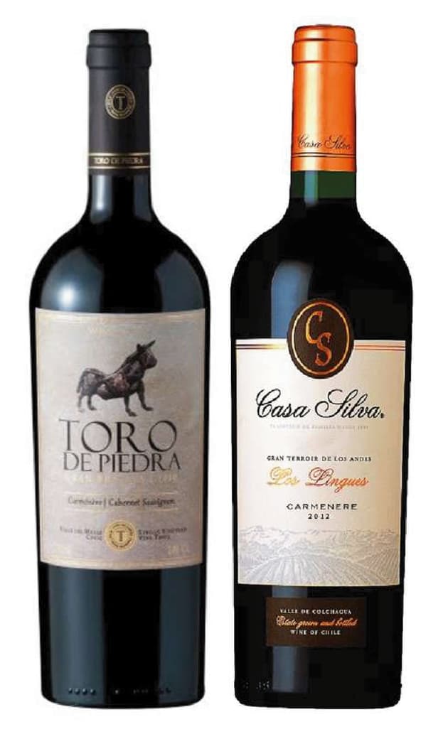 PACK DUO VINOS Nº3: Vino Toro de Piedra (Carmenere / Cabernet) 750cc + Vino Casa Silva Gran Terroir Carmenere 750cc_1
