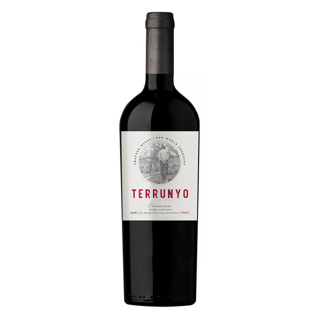 Vino Terrunyo Carmenere 750cc_1