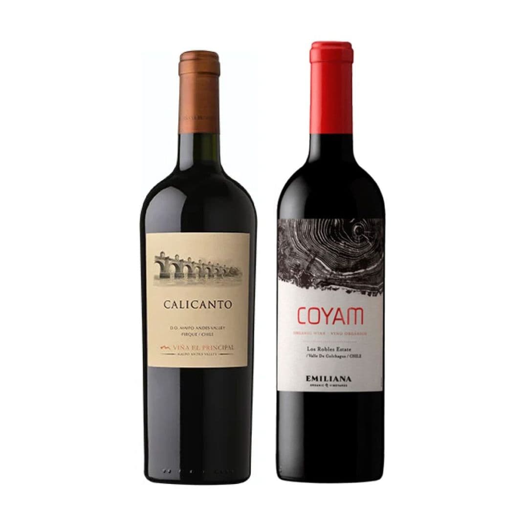 DUO COYAM - PRINCIPAL: 1x Vino El Principal Calicanto Ensamblaje 750cc + 1x Vino Orgánico COYAM 750cc_1