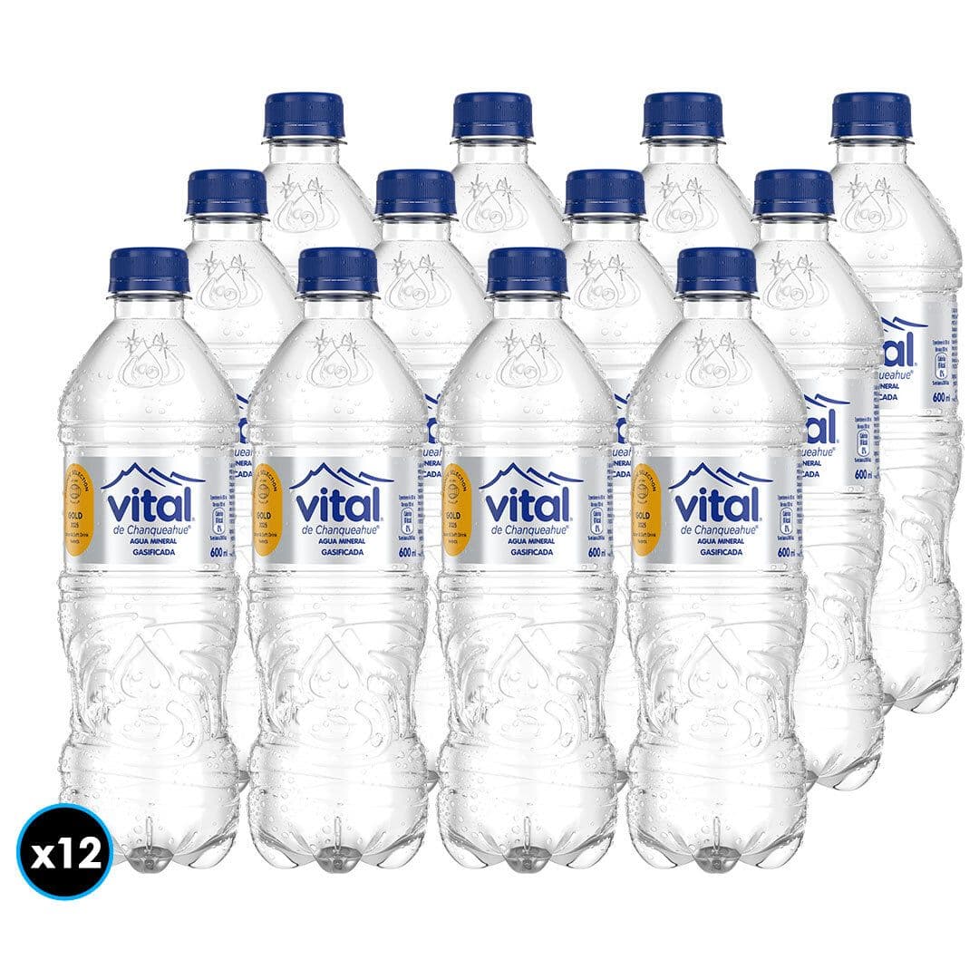 12x Agua Mineral Vital Con Gas Botella 600cc_1