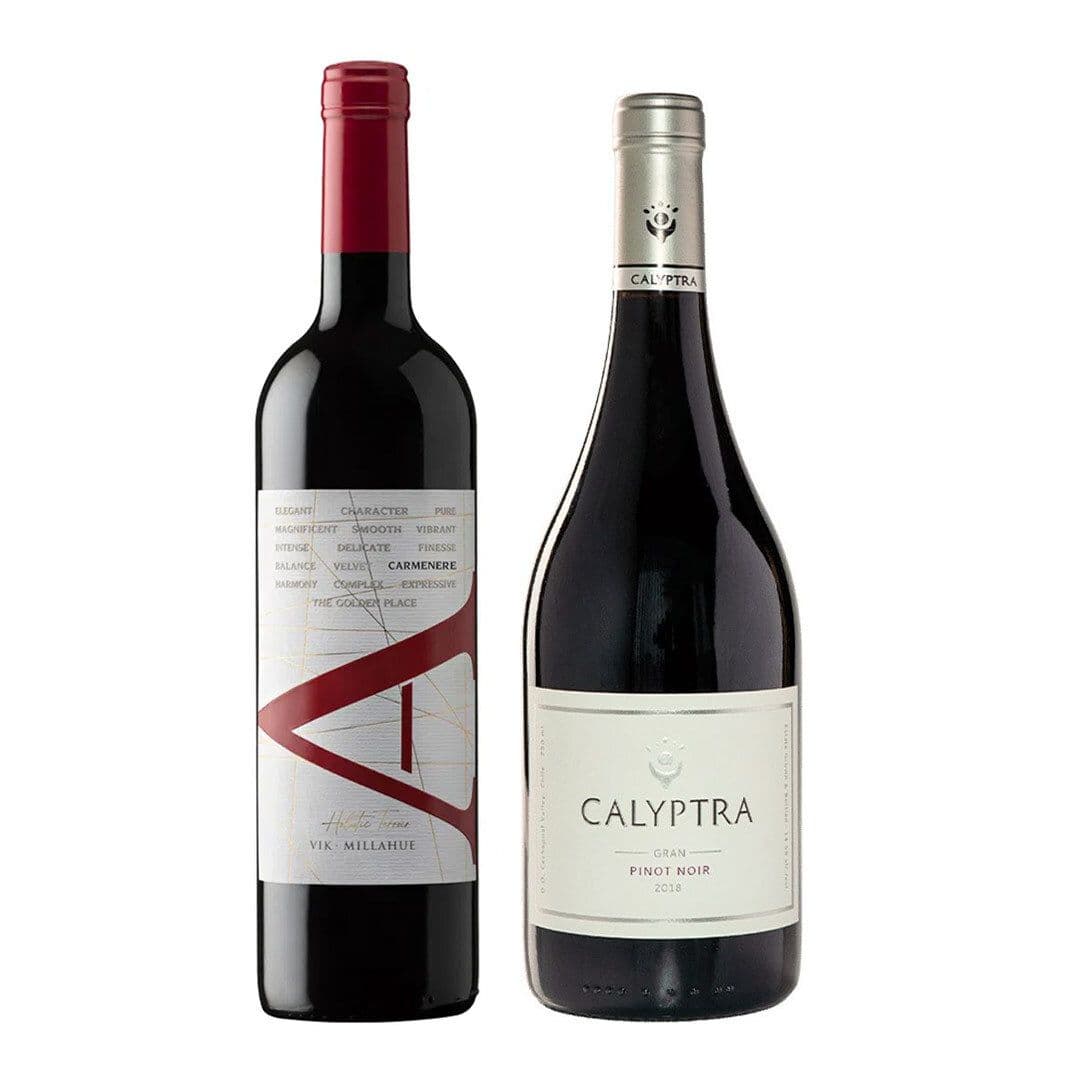 PACK DE AUTOR: 1x Vino VIK A Carmenere 750cc + Vino Calyptra Gran Pinot Noir 750cc_1