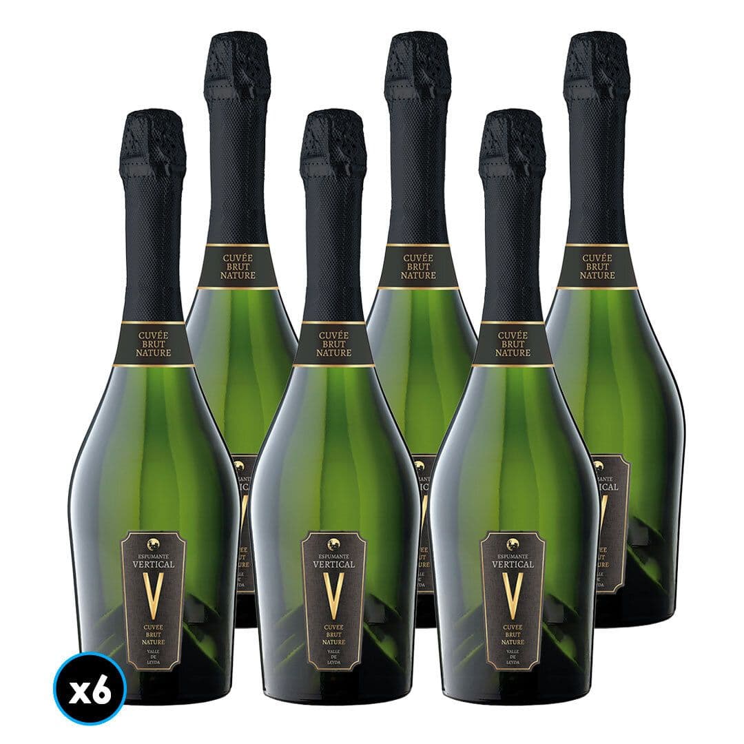 CAJA VERTICAL BRUT NATURE: 6x Espumante Vertical Brut Nature 750cc_1