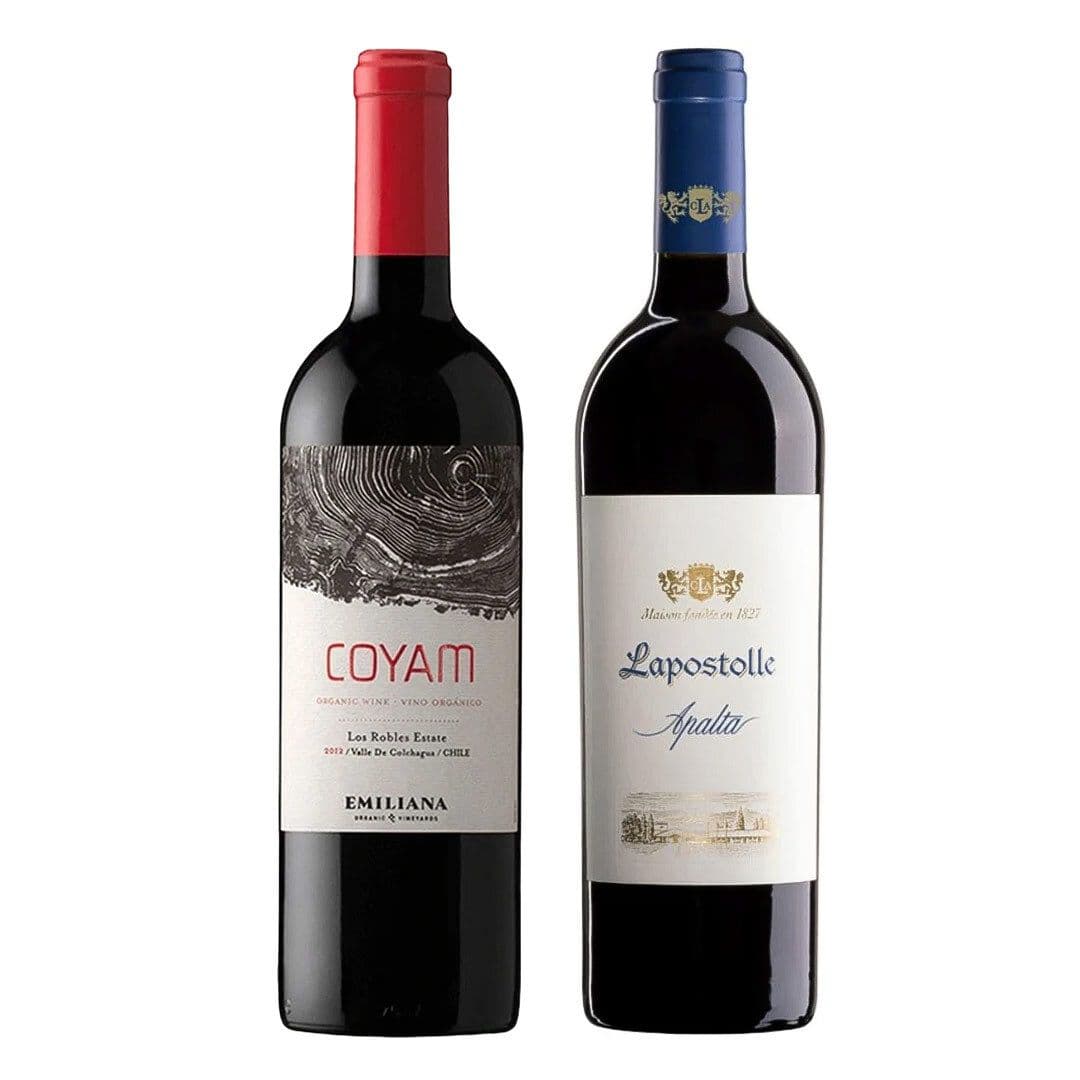 DUO COYAM - LAPOSTOLLE: 1x Vino Orgánico COYAM 750cc + 1x Vino Lapostolle Apalta Blend 750cc_1