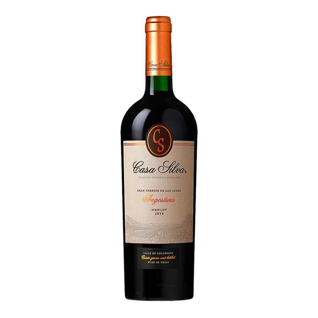 Vino Casa Silva Gran Terroir Merlot 750cc_1